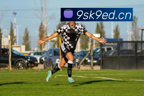 星空网官网免费入口服务体系